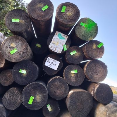 Lot #164- #Pole Pack 25