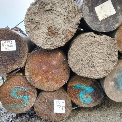 Lot #243- #Pole Pack 104