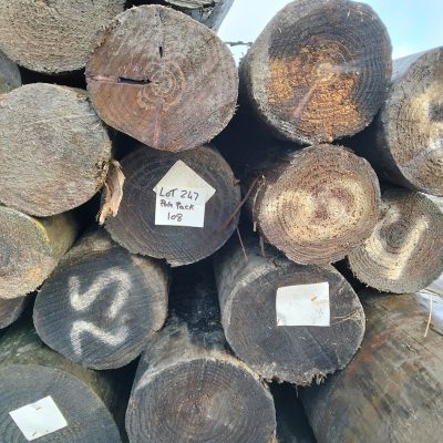 Lot #247- #Pole Pack 108